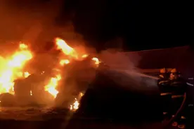 鞍山海城一工厂凌晨突发大火，现场火光冲天！消防员紧急救援！图片