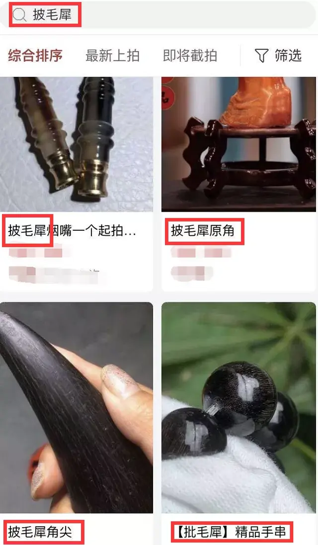 犀牛角化石如何辨别