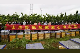 聚焦影视，服务百姓！影视爱心助农团，社区团长蜂场验蜜图片