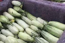 形似羊角甘甜如蜜这水果你知道吗？图片