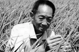 袁隆平院士：我毕生的追求，就是让所有人远离饥饿图片