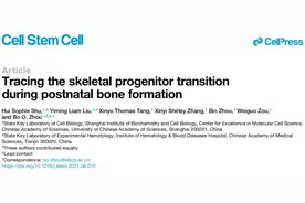 二十三，窜一窜？中科院周波团队揭示成年人不再长高的生理机制图片