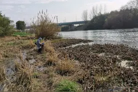 大风大浪看不清浮漂怎么办？这个办法很好用，一个口都逃不掉图片