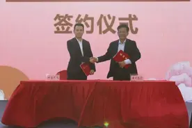 鲁力同心丨山东牵手阿里巴巴加速经济数字化转型图片