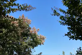 东北人在青岛趣事图片