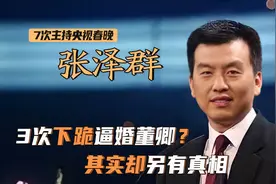 张泽群：3次下跪求婚董卿，董卿妈妈加油助威？4次高考终进央视图片