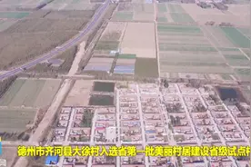 建设美丽乡村，齐河大徐村打造休闲综合旅游基地视频封面