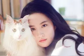 公认的“好看脸”自带五种特征，美得高级有辨识度，你占了几种图片