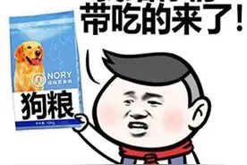 你知道狗狗每天适合吃多少零食吗？图片