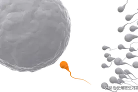 经验分享！做试管婴儿男方做到这些受孕率会更高，看完尽快转给他图片