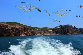 威海传说 神仙留下的两座“齐鲁美丽海岛”图片