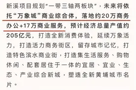 华润新溪项目对黄埔楼市的影响图片