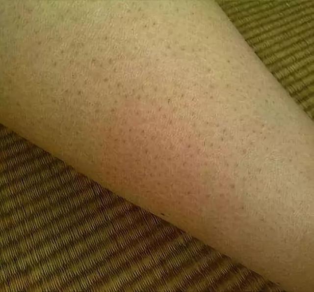 伊丽莎白雅顿身体乳官方鉴定