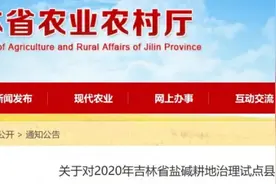 名单公示！吉林省五地入选省级试点图片