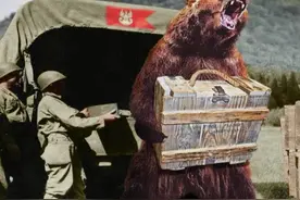 二战中波兰军队的棕熊士兵，给编制发工资，会抽烟喝酒还会运炮弹图片