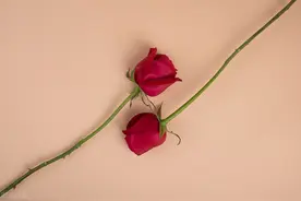 男人出现这三不“主动”，说明他真的爱惨了你图片