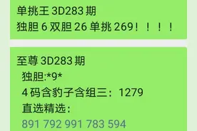 3D283期单挑图片