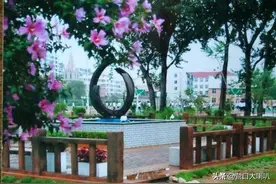 2020年的高考，营口学校再创辉煌，特别是这几所高中图片