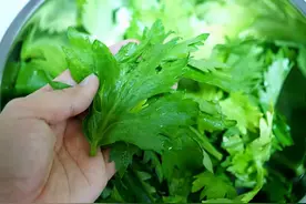 农村这7种蔬菜的叶子不要再扔了，煮来吃更美味，关键营养价值高图片