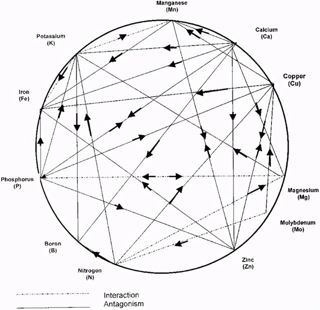 如何管理灌溉配液中各营养元素？这些元素发挥哪些作用？