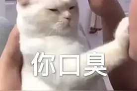 对象有口臭怎么办？如何委婉告诉她/他？图片