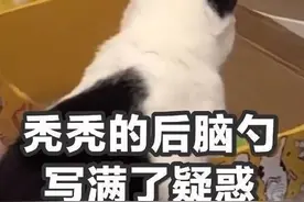 “偷亲”女员工被开除，他要求企业支付经济赔偿金图片
