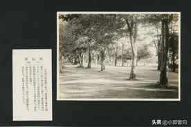 老照片中的大连劳动公园：别称虎公园，1947年曾改为列宁公园图片