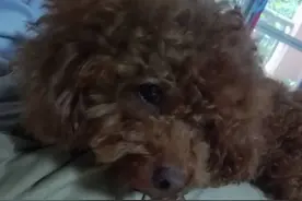 下雨天不能出去真无聊图片