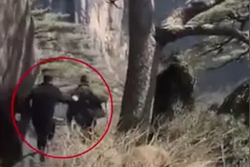 游客强行冲向迎客松？网友：不欢迎你！图片