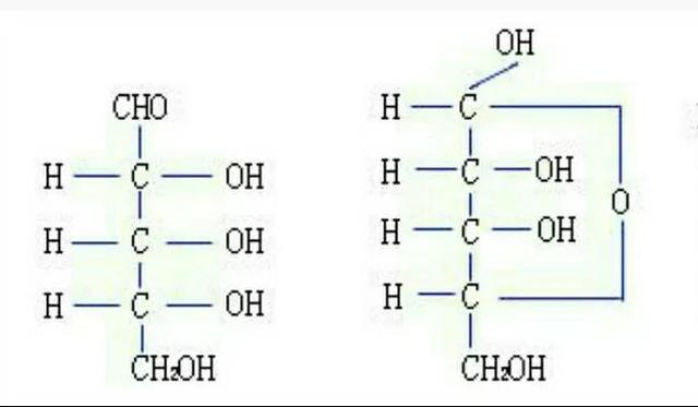 《宇宙的秘密全部揭开（二十四）分子生物学》
