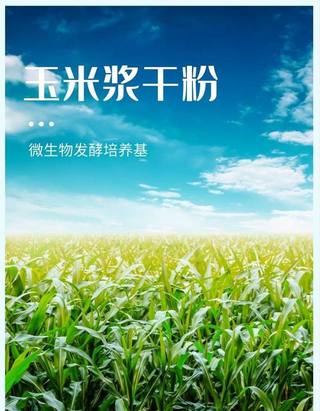 玉米浆干粉，氨基酸蛋白粉，发酵培养基