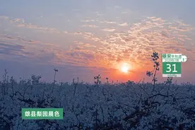 雄安早知道（2020年7月31日）：快来报名！雄安面向全国机关事业单位选调工作人员图片