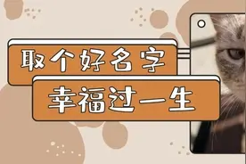 我们统计了1000只猫咪的名字，找出了最沙雕和最常见的TOP10图片