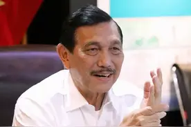 “会向中国求助！”疫情数据创下新高，印尼高官透露政府最新计划图片