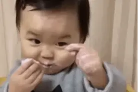 搞笑表情包｜来不及解释了，快上车图片