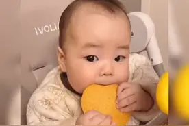 萌娃因“护食”走红网络，网友：看来这爸爸早已经是“惯犯”了图片