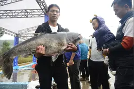 阳宗海的13年：因“砷危机”被迫清盘，为何至今仍未“痊愈”？图片