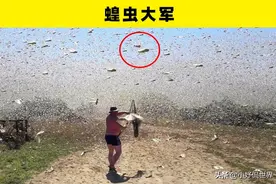 网络上出现过的5个正好被相机记录下来的奇怪瞬间图片