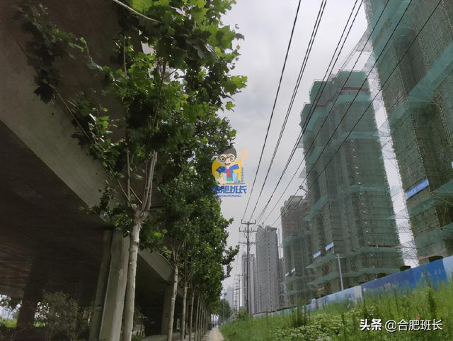 正在登记的雍容雅苑怎么样？实探包河区淝河板块的招商雍荣府