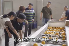 聚焦三农：想回家乡发展农村电商，但不知道做咋办？教你3个核心视频封面