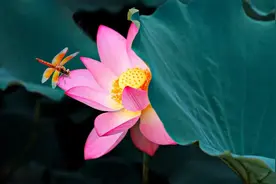 人到中年，别为了不值得的人和事去生气图片