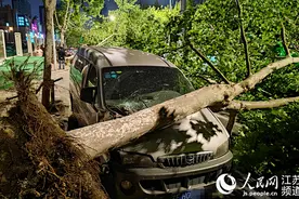 南通突遭极端灾害天气，11人死亡3000余人受灾图片