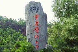 重庆高校在渝招生二本录取分数线汇总图片
