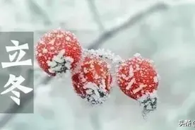 经典诵读丨立冬来袭，看看红楼梦、骆驼祥子里他们都吃什么图片
