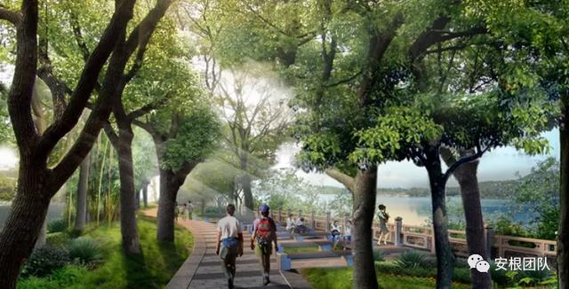 生物刺激素2：氨基酸