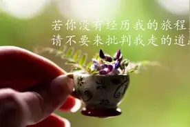 人生感悟经典心情语录图片