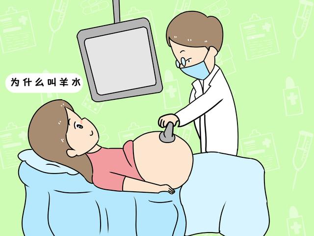 终于知道了为什么孕妈肚子里的羊水叫羊水,不是其他水,答案这里