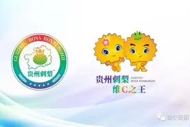 刺梨产业巡礼①：刺梨原榨果汁，天然原味，你敢来喝吗？图片