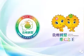 刺梨产业巡礼①：刺梨原榨果汁，天然原味，你敢来喝吗？图片