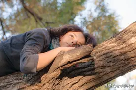 俄夫妇上树避棕熊十天十夜，熊有多聪明？暴走后的恶熊有多可怕？图片